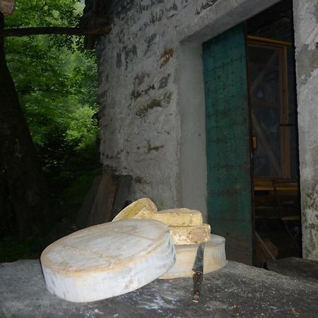 Da Erminia Bed & Breakfast Verdabbio Bagian luar foto