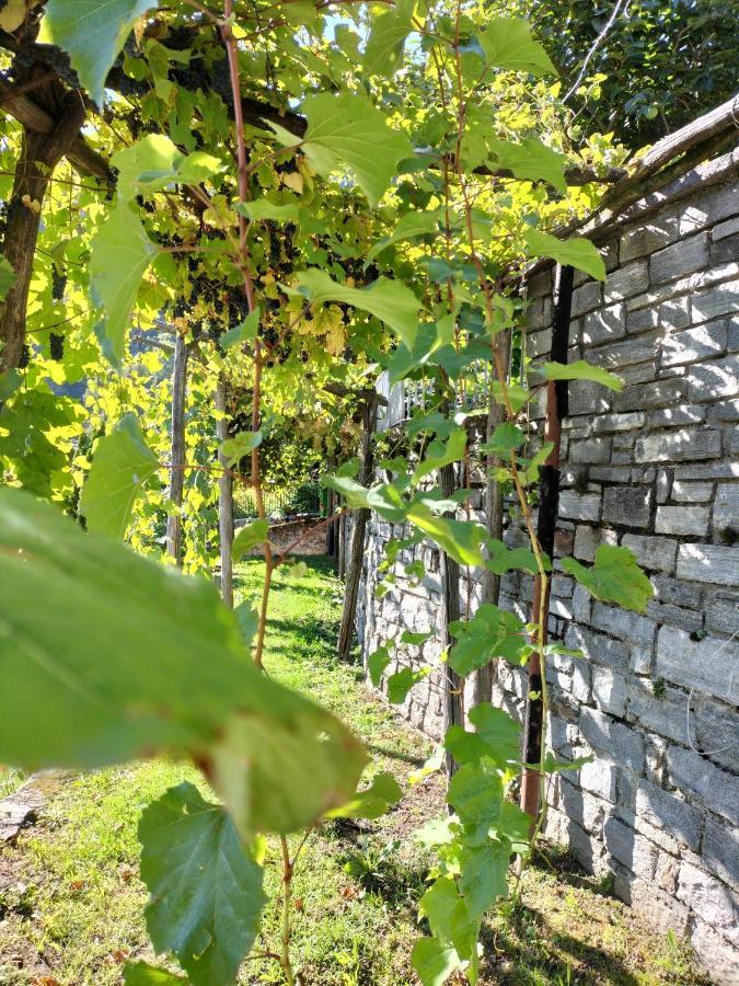 Da Erminia Bed & Breakfast Verdabbio Bagian luar foto