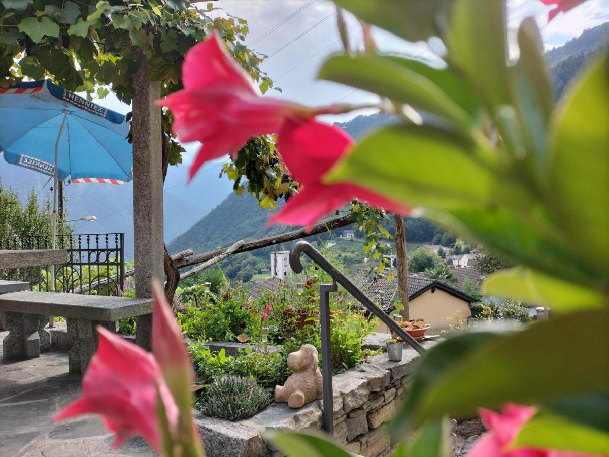 Da Erminia Bed & Breakfast Verdabbio Bagian luar foto