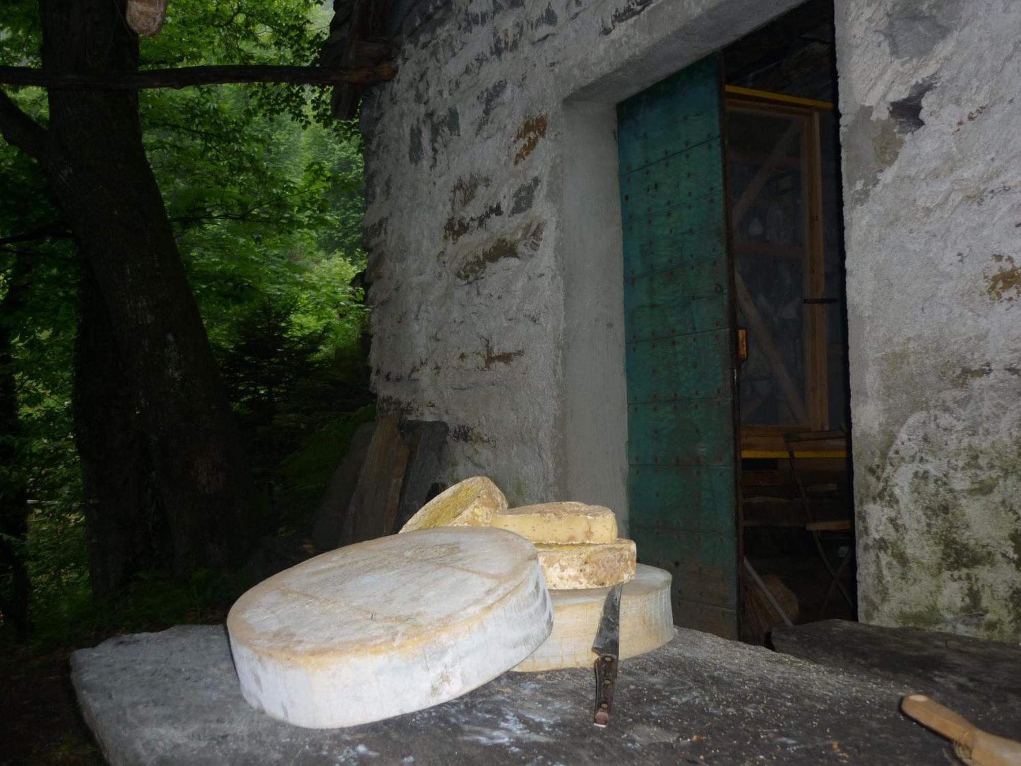 Da Erminia Bed & Breakfast Verdabbio Bagian luar foto
