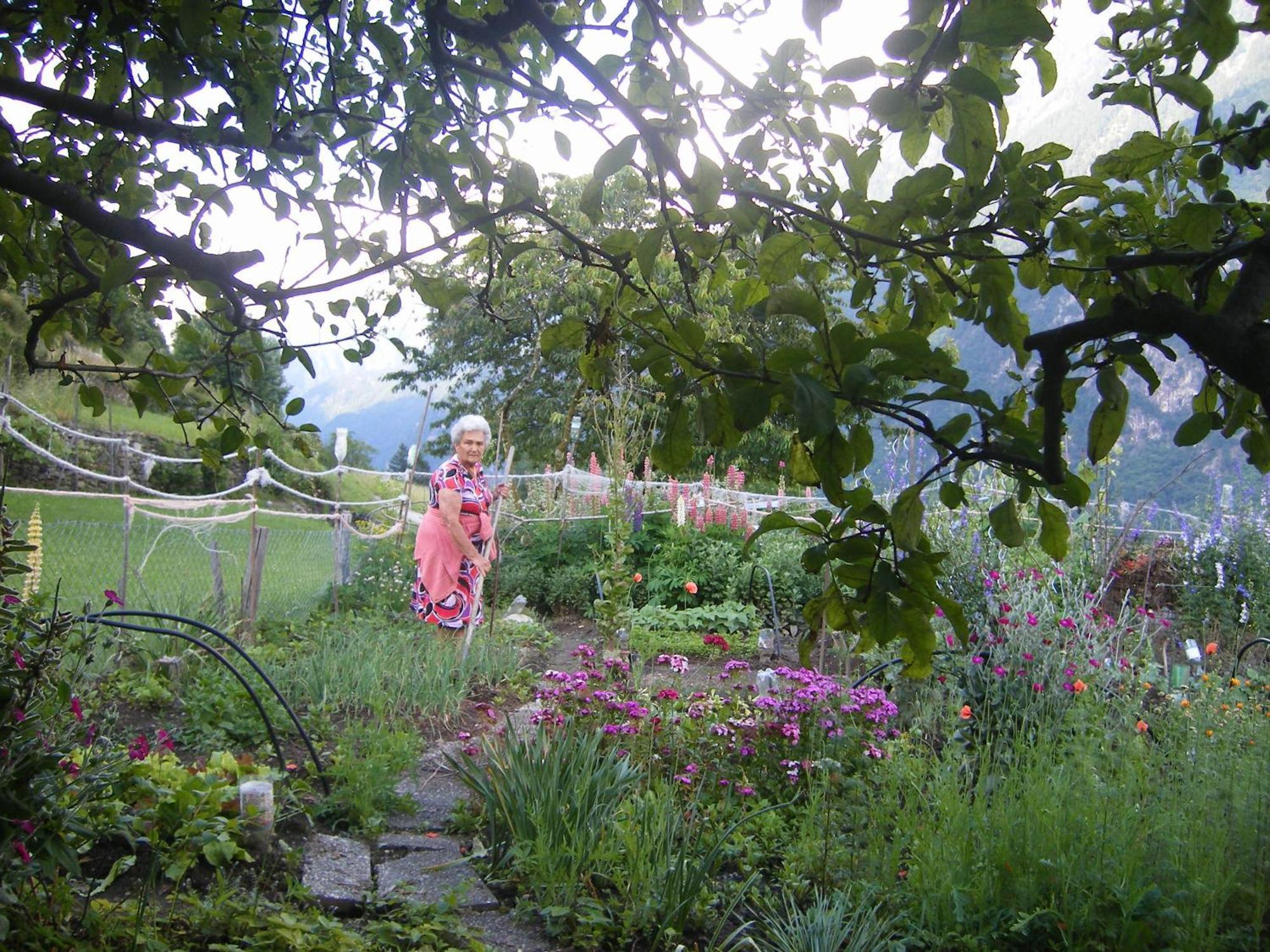 Da Erminia Bed & Breakfast Verdabbio Bagian luar foto