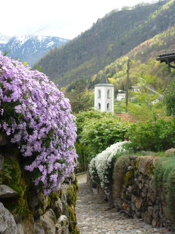 Da Erminia Bed & Breakfast Verdabbio Bagian luar foto